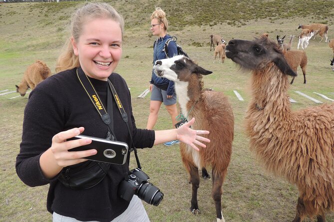 Cochasqui Pyramids, Rose Plantation and Equator Line Day Tour - Tour Highlights