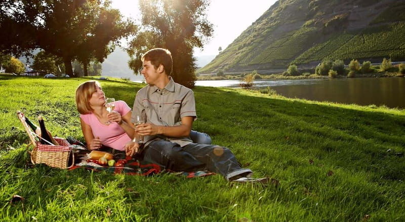 Cochem: Bike and Boat Tour with Picnic and Wine Tasting - Cochem: Bike and Boat Tour with Picnic and Wine Tasting – An In-Depth Review