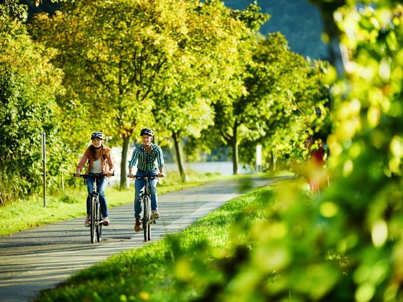 Cochem: Bike and Boat Tour with Picnic and Wine Tasting - A Detailed Look at the Tour Experience