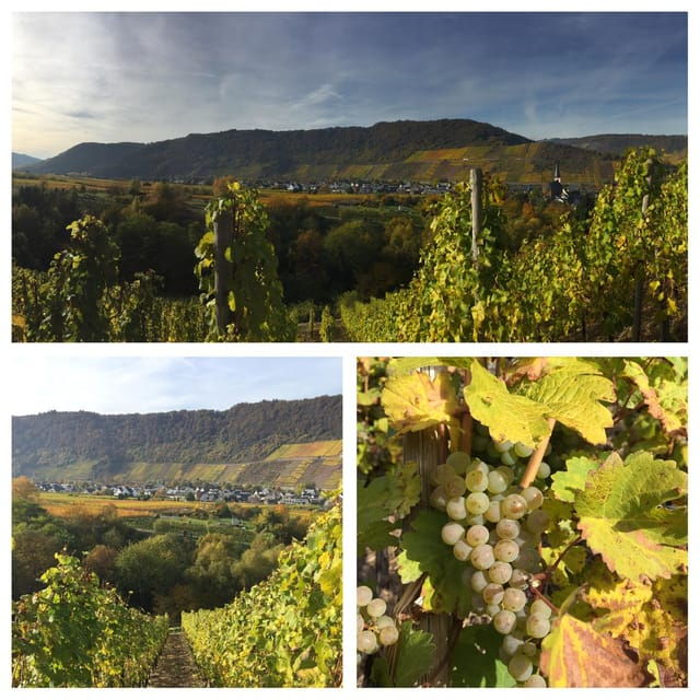 Cochem, Moselle: Wine experience hike with boat - Final Thoughts