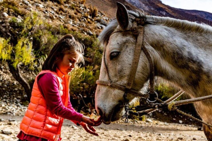Cochiguaz: Horseback Riding, River and Mountain Range - Activity Details