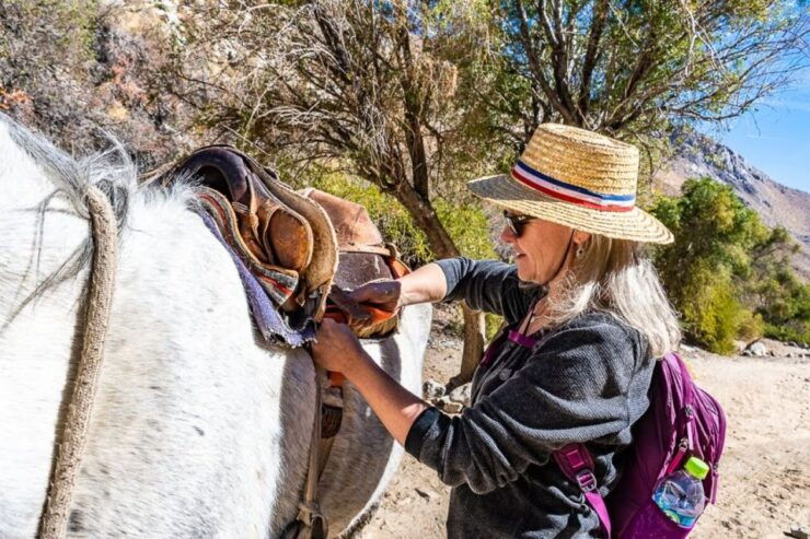Cochiguaz: Horseback Riding, River and Mountain Range - Experience Highlights