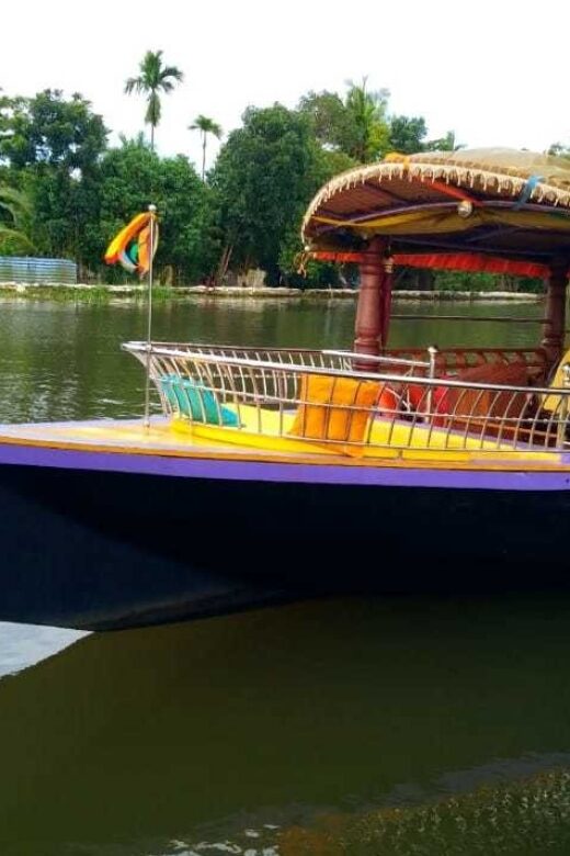 Cochin : Alleppey/Alappuzha Backwater Canoe (Shikara) Cruise - Authenticity and Review Highlights