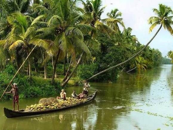 Cochin : Alleppey/Alappuzha Backwater Canoe (Shikara) Cruise - Cochin: Alleppey/Alappuzha Backwater Canoe (Shikara) Cruise