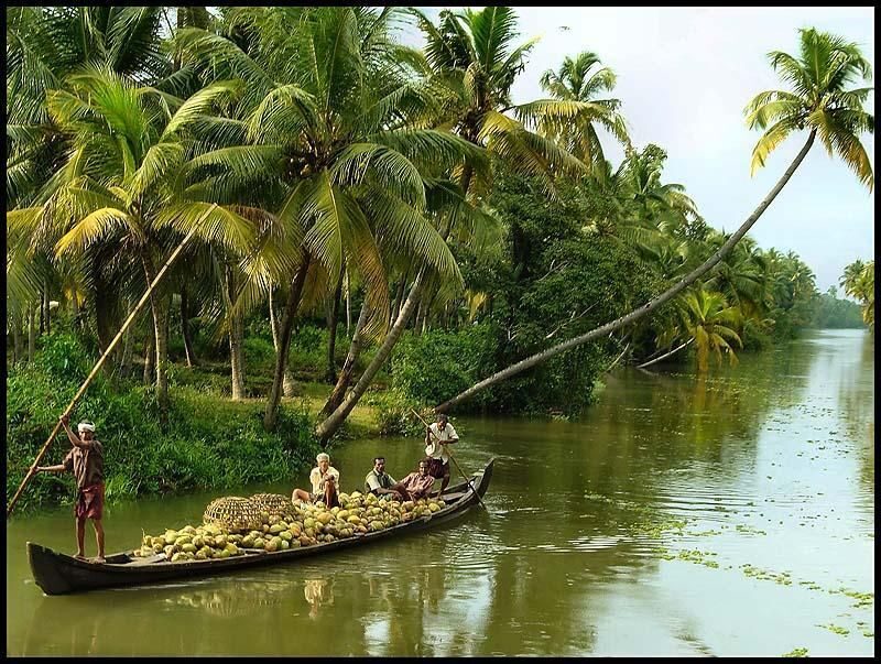 Cochin: Alleppey Backwater Private Day Cruise by Houseboat - FAQ