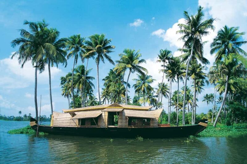 Cochin: Alleppey Backwater Private Day Tour with Houseboat - Introduction: An Authentic Kerala Backwater Experience