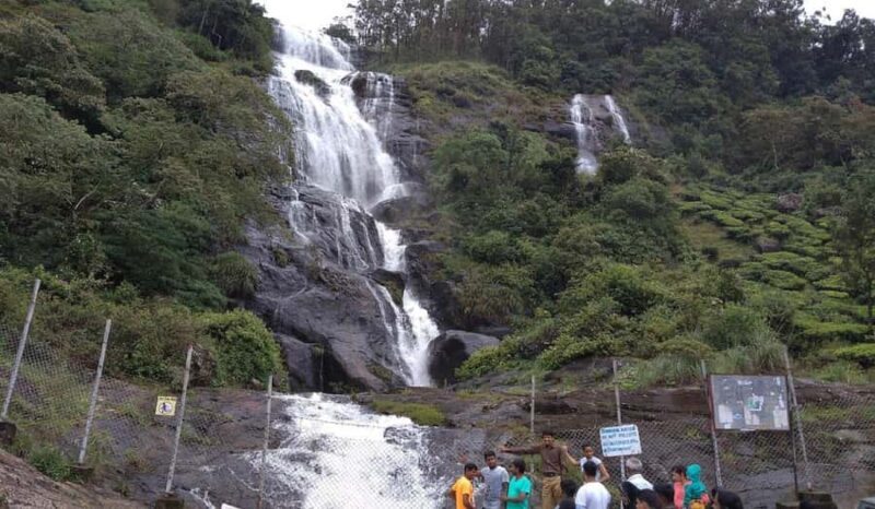 Cochin: Alleppey Backwater Private Day Tour with Houseboat - Good To Know