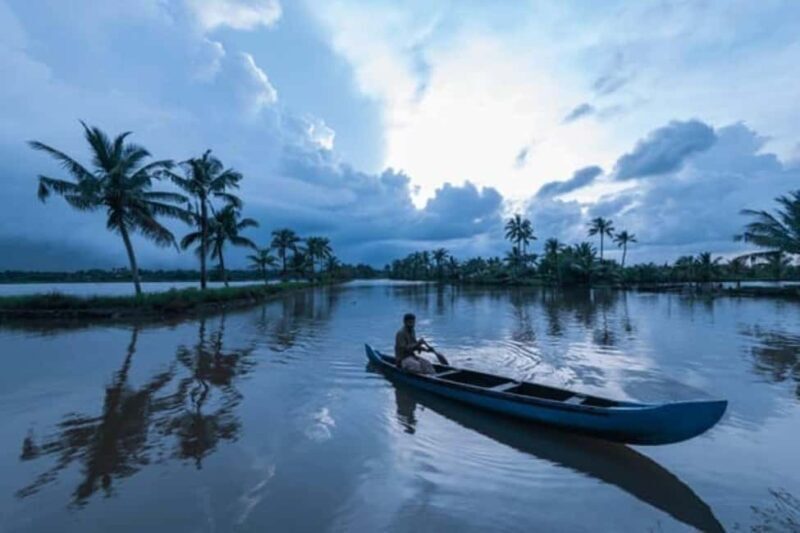 Cochin Backwaters Tour: Eco Boat Ride & Traditional Lunch - Why Price Matters and the Value You Get
