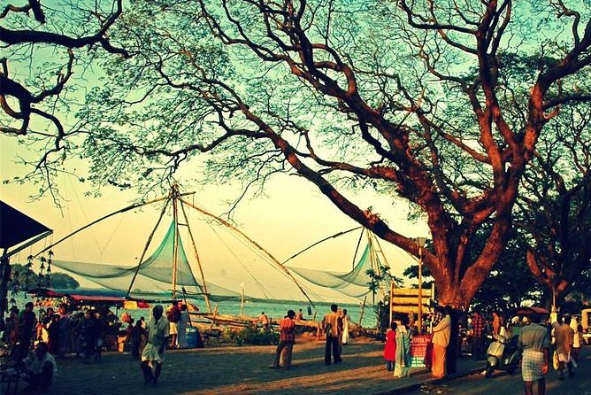 Cochin City or Backwater Shore Excursions From Cruise Terminal - Excursion Details