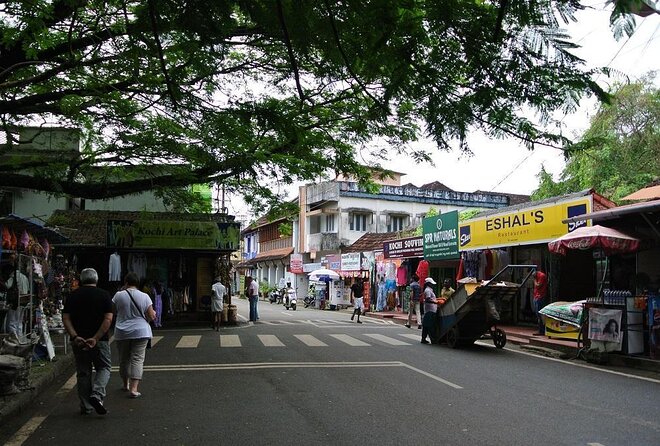 Cochin City or Backwater Shore Excursions From Cruise Terminal - Traveler Tips