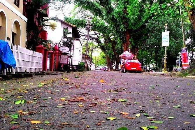 Cochin Group Shore Excursions from Cruise Terminal Pier - Authentic Insights from Past Travelers