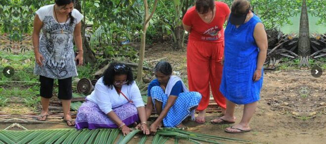 Cochin: Half-Day Backwater Village Eco Boat Cruise W/ Lunch - Meeting Point and Transportation