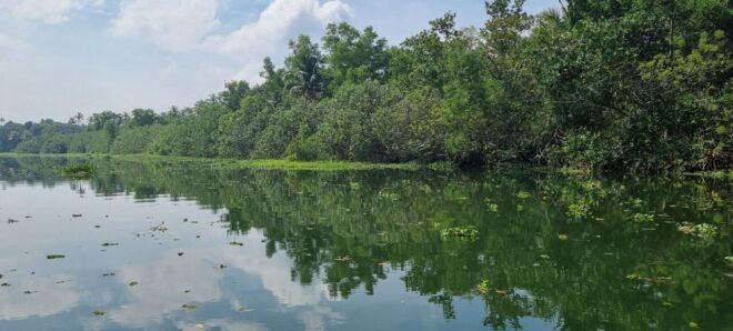Cochin: Half-Day Backwater Village Eco Boat Cruise W/ Lunch - Directions