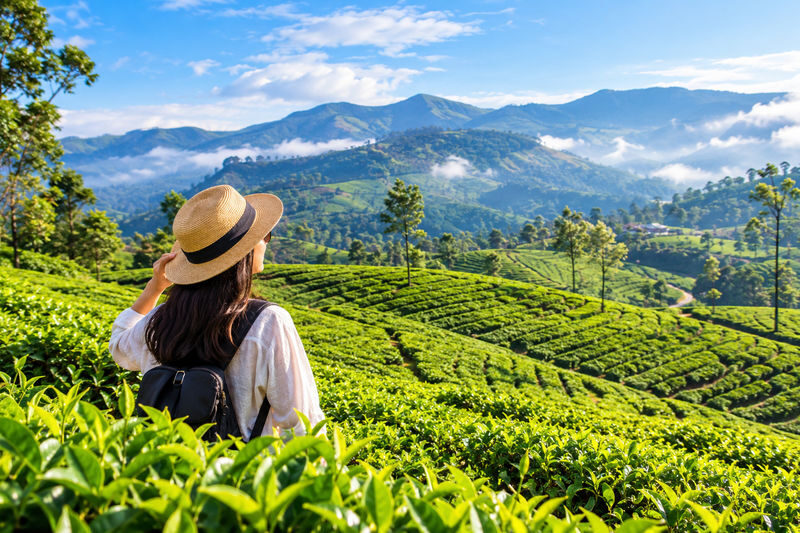 Cochin: Munnar Hill Station Tea Garden Overnight Tour - At a glance