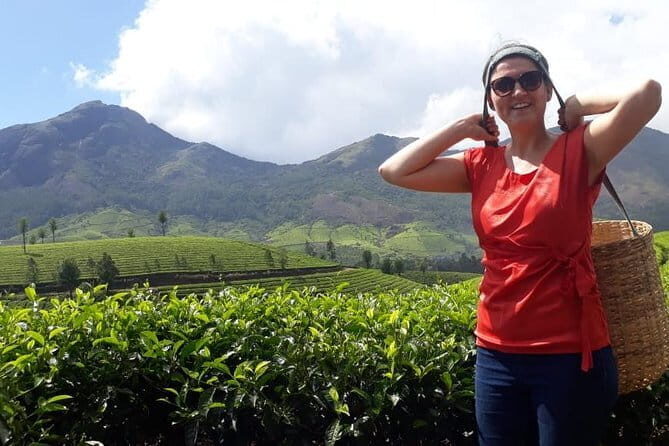 Cochin to Munnar Day trip - The Value of the Experience