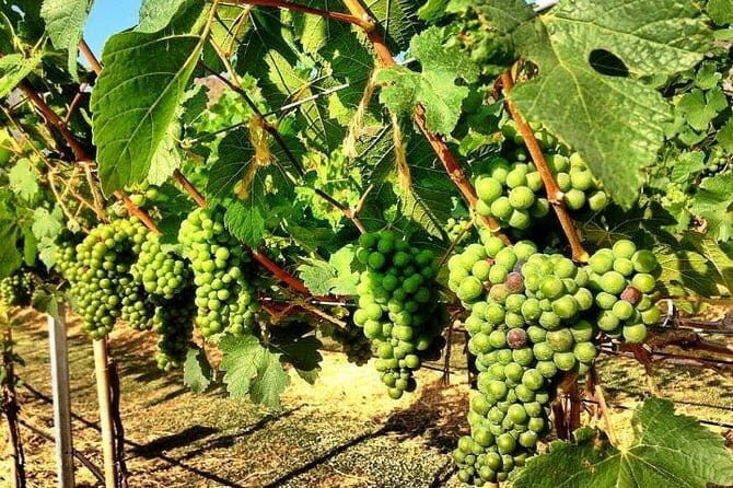 Cocktail Academy in Bangkok - Final Thoughts