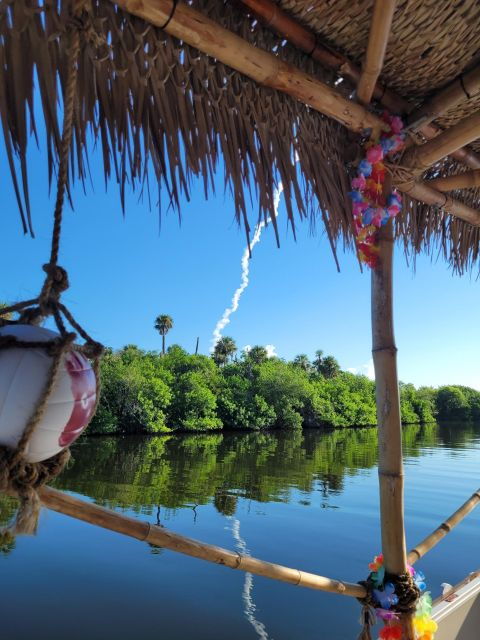 Cocoa Beach - 2 Hour Dolphin and Nature Watching Tour - Select Participants and Date
