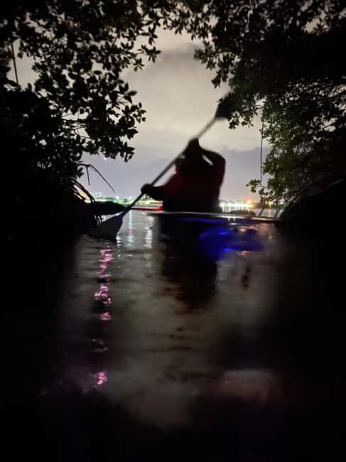 Cocoa Beach: Clear Kayak Sunset & Bioluminescence Tour - Cocoa Beach: Clear Kayak Sunset & Bioluminescence Tour Review