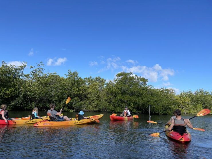 Cocoa Beach: Daytime Guided Kayak Eco-Tour - Experience Highlights