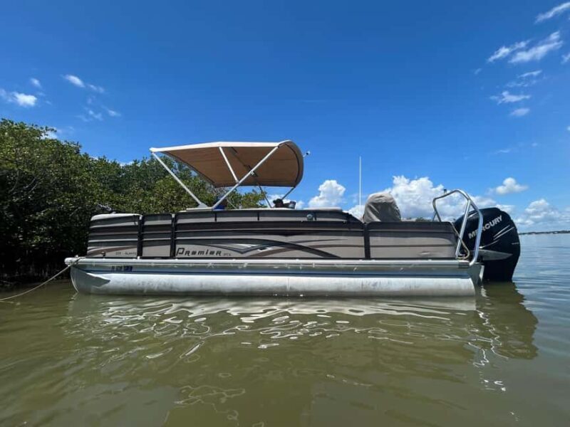 Cocoa Beach: Dolphin & Manatee Pontoon Cruise - Good To Know