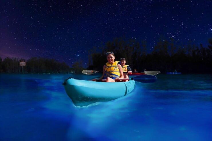 Cocoa Beach/Merritt Island:Bioluminescent Kayak Tour - Good To Know