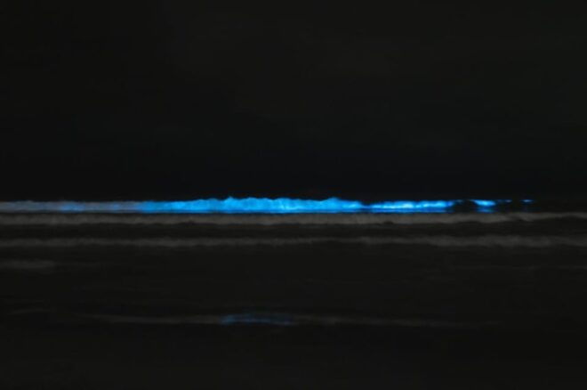 Cocoa Beach/Merritt Island:Bioluminescent Kayak Tour - Equipment and Suitability