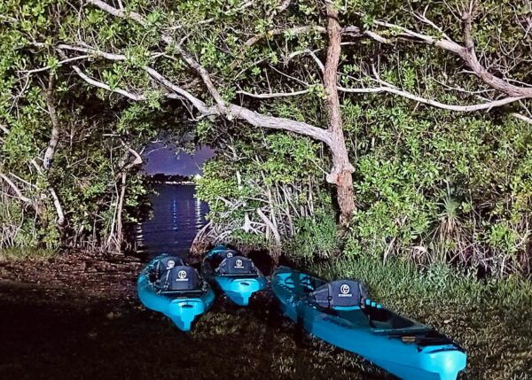 Cocoa Beach/Merritt Island:Bioluminescent Kayak Tour - Frequently Asked Questions