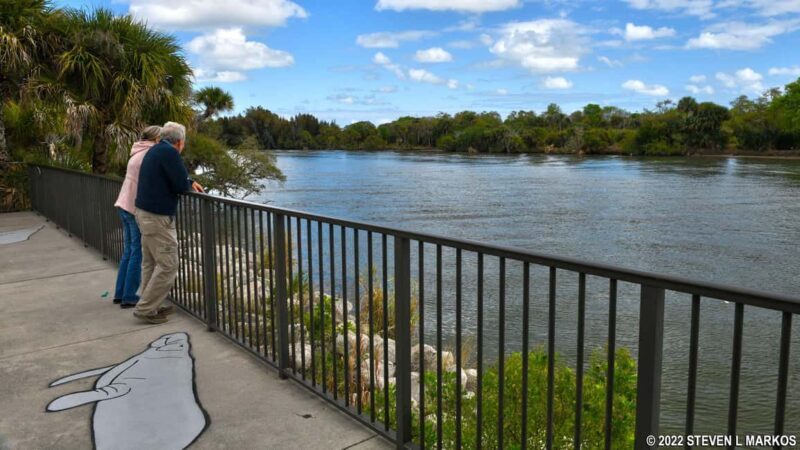 Cocoa Beach: Polaris Slingshot Curated Ride Experience - The Scenic and Wildlife Highlights