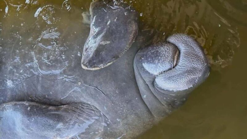 Cocoa Beach: Private Pontoon Sunset Cruise - Who This Cruise Is Best For