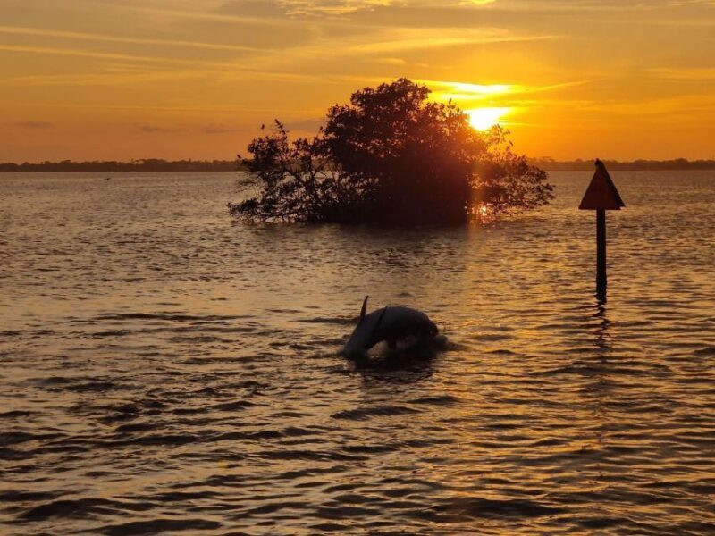 Cocoa Beach: Sunset Cruise - Who Should Consider This Cruise?