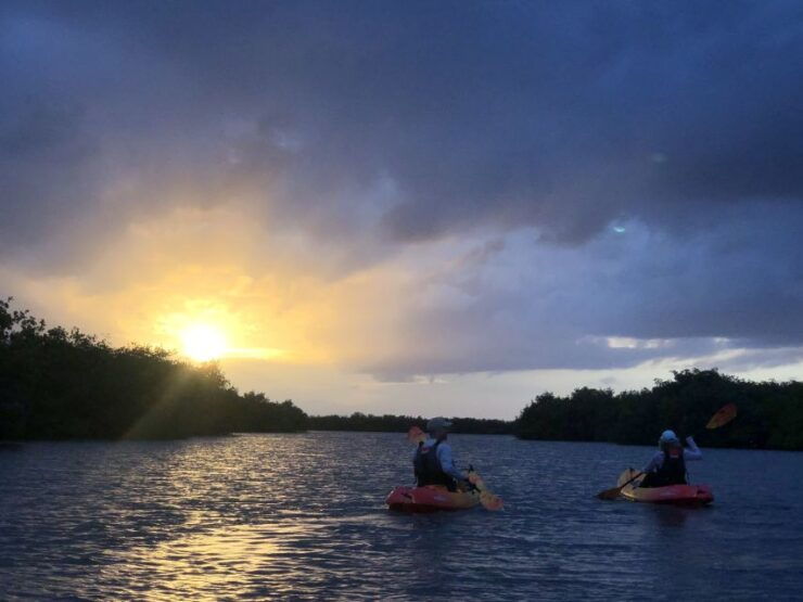 Cocoa Beach: Sunset Guided Kayak Tour - Activity Details