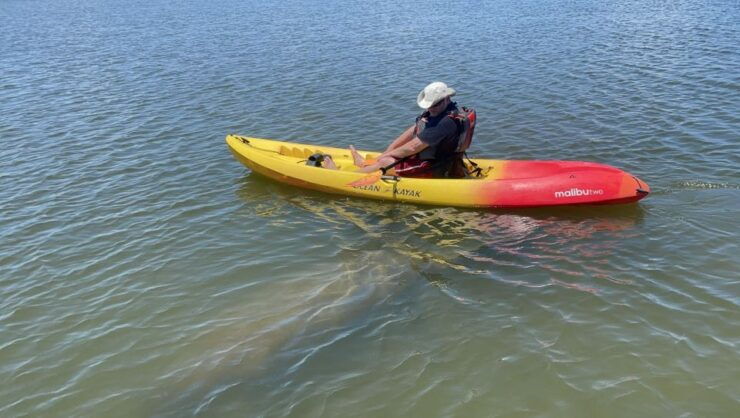 Cocoa Beach: Sunset Guided Kayak Tour - Experience Highlights