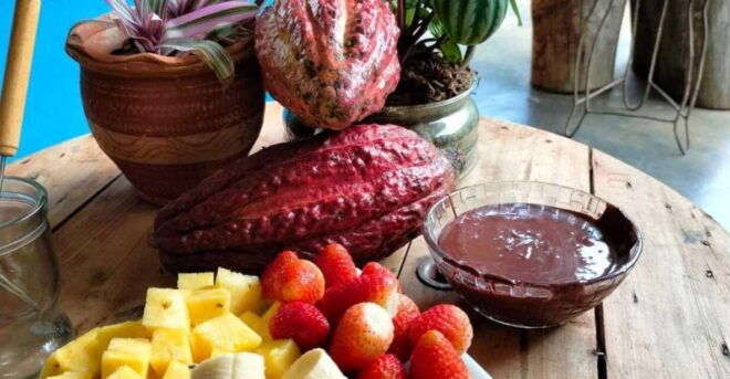 Cocoa Tour - San Rafael Antioquia From Medellín - Pricing Information