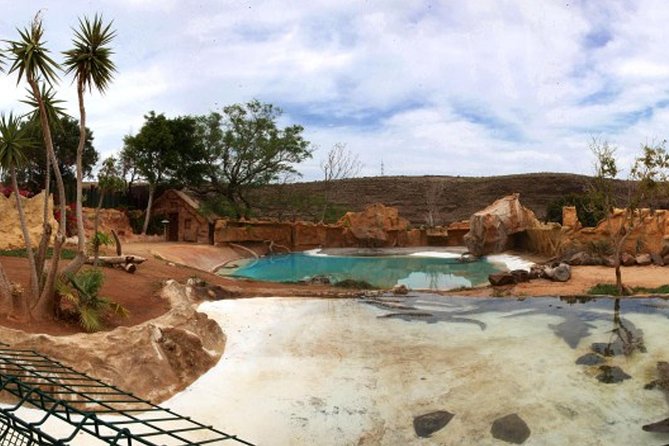 Cocodrilo Park Zoo Admission Ticket in Agüimes - Pricing and Ticket Information