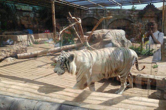 Cocodrilo Park Zoo Admission Ticket in Agüimes - Tips for a Memorable Visit