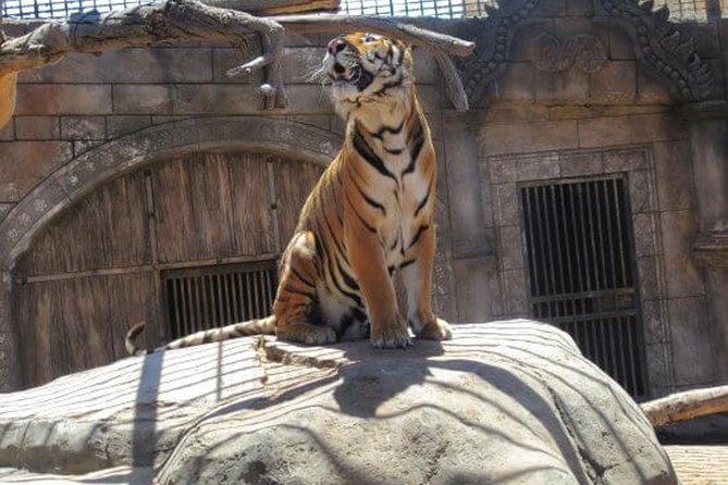 Cocodrilo Park Zoo Admission Ticket in Agüimes - Common Questions