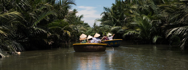 Coconut Forest Tour by Bicycle and Basket Boat in Hoi An - From Hoi An’s Streets to the Rice Fields
