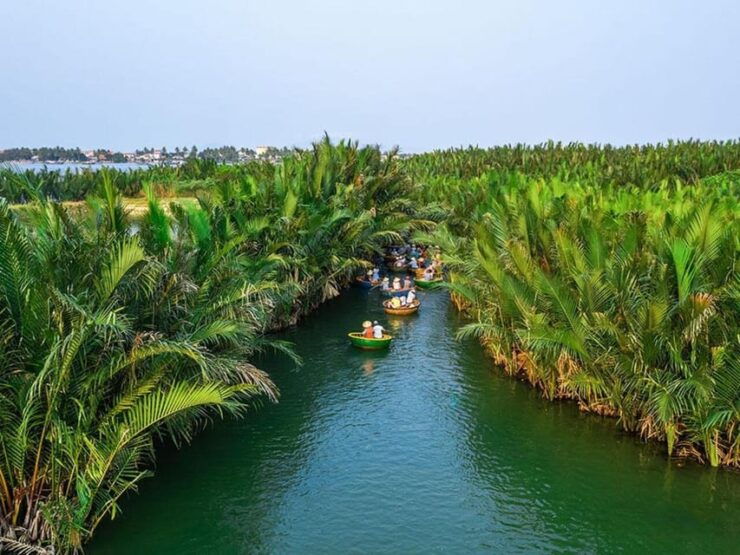 Coconut Jungle, Basket Boat, Hoi An City & Release Lanterns - Experience Highlights