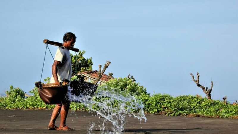 Coconut Oil Making And Traditional Salt Farm Experience in East Bali - The drive shapes the day