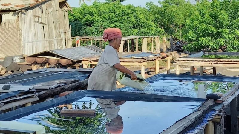 Coconut Oil Making And Traditional Salt Farm Experience in East Bali - What the price includes, and what to check