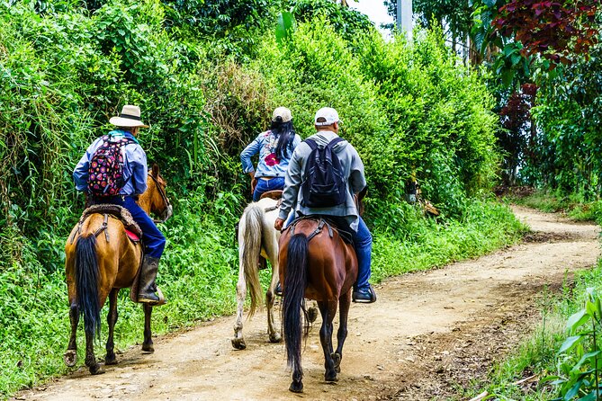 Cocora Valley and Salento Horseback Riding Day Tour - Tour Pricing Details