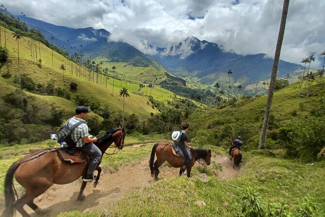 Cocora Valley Condor Lookout Parade - Tour Overview