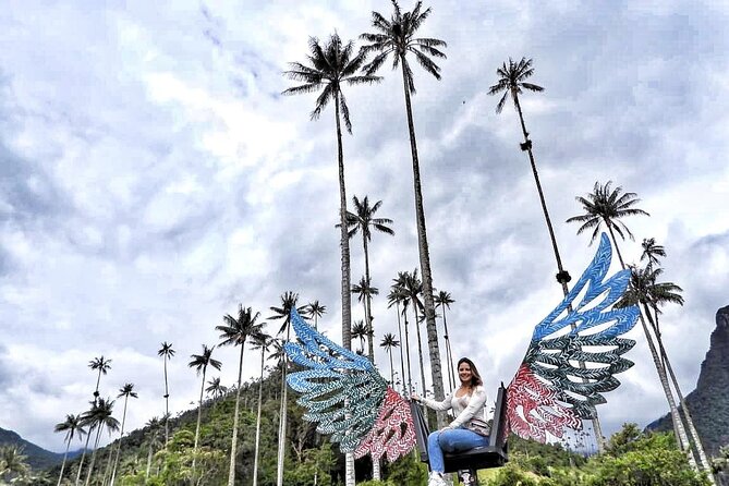 Cocora Valley, Salento and Coffee Farm Day Tour - Tour Pricing and Details