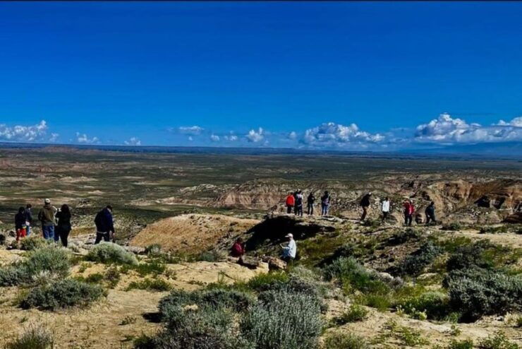 Cody: Red Canyon Wild Mustang Tour - Booking Information