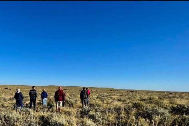 Cody: Red Canyon Wild Mustang Tour - What to Bring