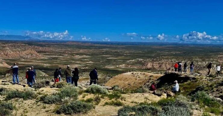 Cody: Red Canyon Wild Mustang Van or Bus Tour - Booking Information