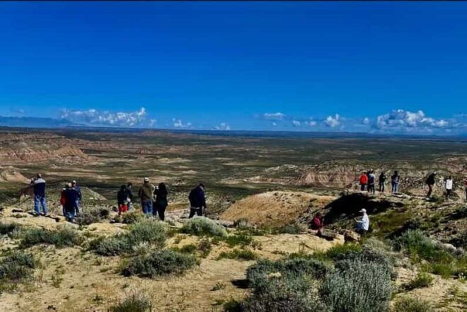 Cody: Red Canyon Wild Mustang Van or Bus Tour - Experience Highlights