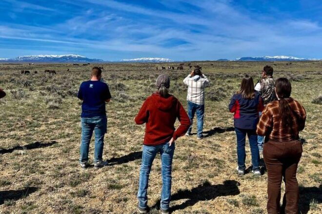 Cody: Red Canyon Wild Mustang Van or Bus Tour - Culture and History