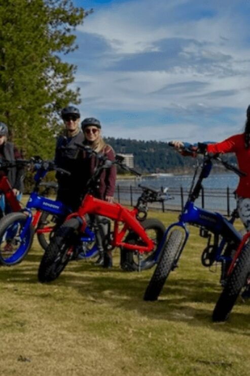 Coeur D'Alene: E-Bike Rental - Provider