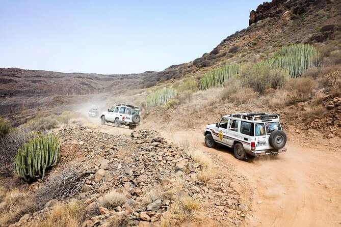 Cofete Sunset 4x4 Safari With Dinner in Punta De Jandia - Customer Support